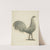 Rooster Weather Vane by Robert Pohle