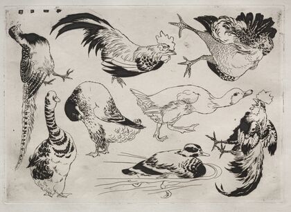 Roosters, ducks, etc. (1866)