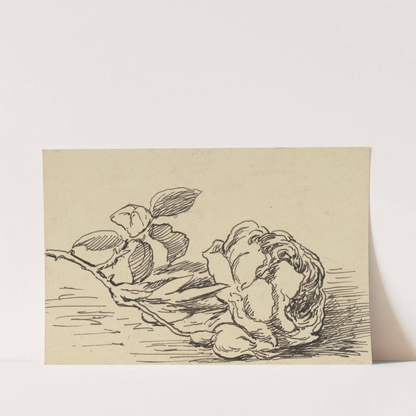 Rose (ca 1905) by Hans Thoma