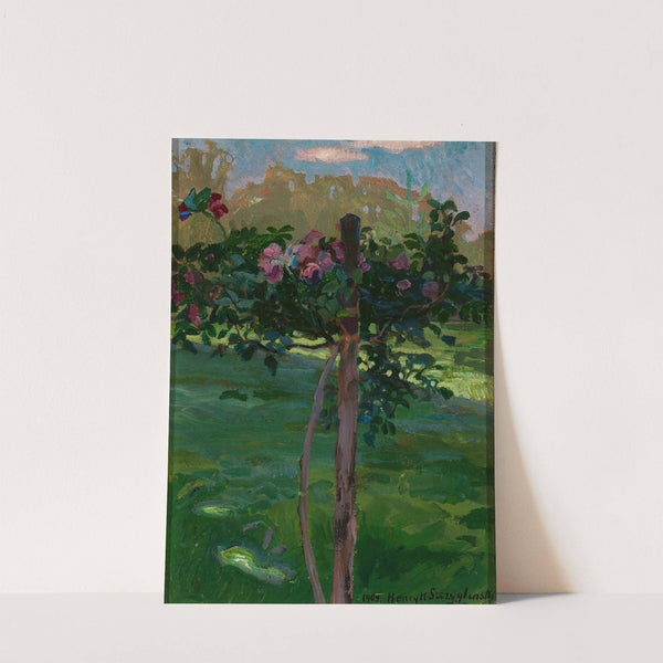 Rose shrub by Henryk Szczygliński