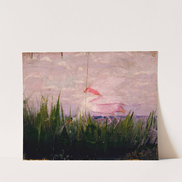 Roseate Spoonbill, study for book Concealing Coloration in the Animal Kingdom by Abbott Handerson Thayer