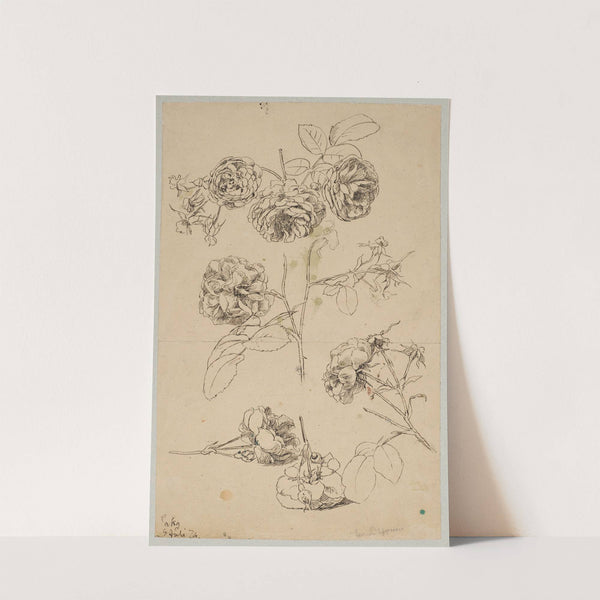 Rosebuds (1874) by Hans Thoma