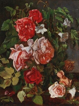 Roses
