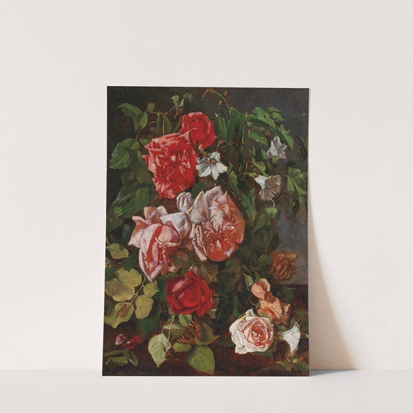 Roses by Marie Absolon