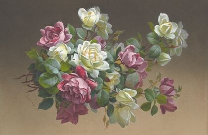 Roses