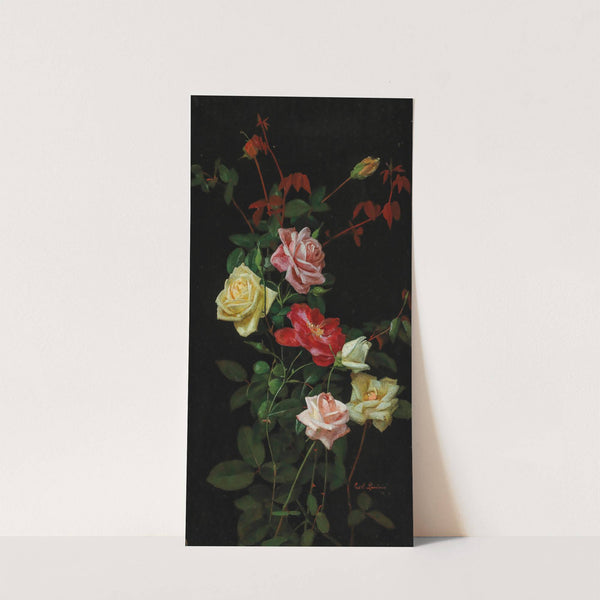 Roses by George Cochran Lambdin