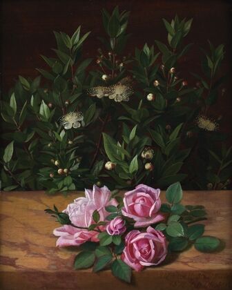 Roses And Myrtles