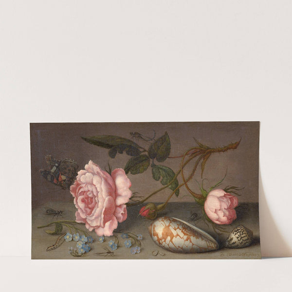 Roses, coquillages et insectes sur une table by Balthasar van der Ast