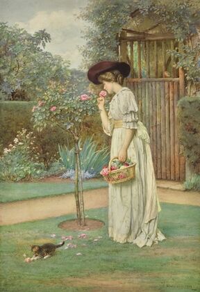 Roses in Bloom