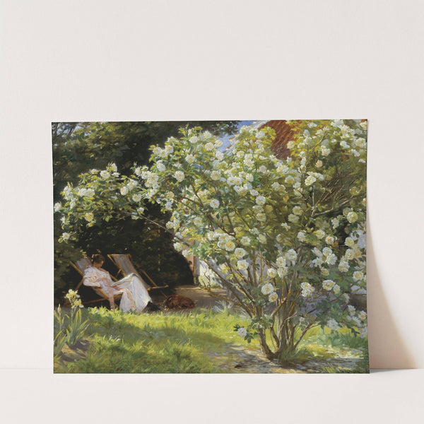 Roses. Marie Krøyer seated in the deckchair in the garden by Mrs Bendsen's house by Peder Severin Krøyer