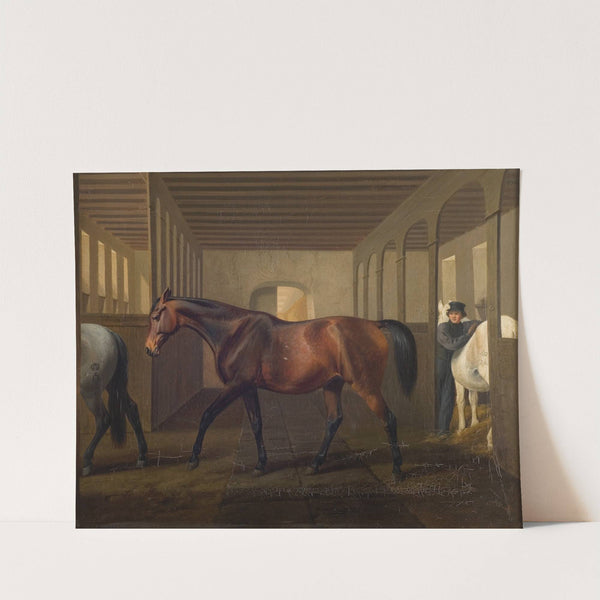 Rosetta by Fritz Thomsen