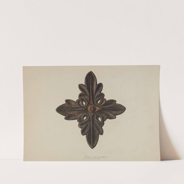 Rosette by Max Fernekes