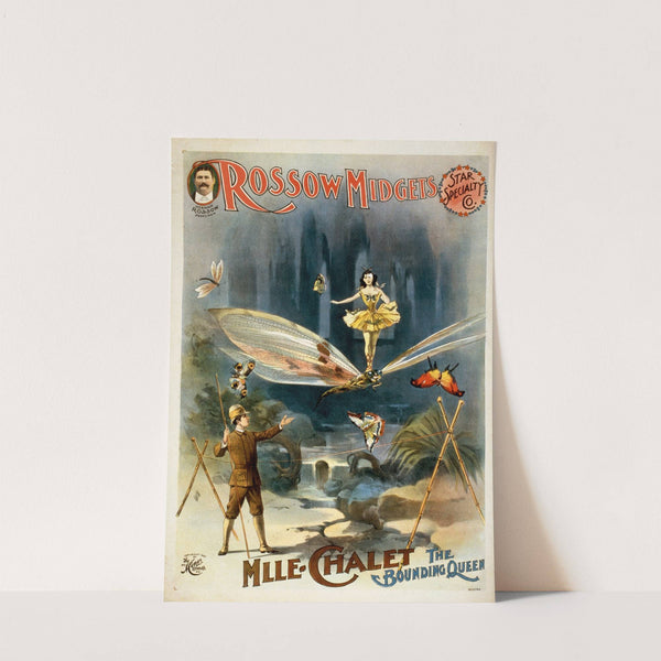 Rossow Midgets, Star Speciality Co. by H.C. Miner Litho. Co.