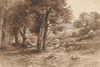 Rotsachtig landschap met bomen