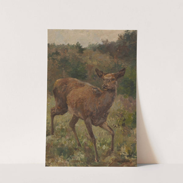 Rotwild by Franz Xaver von Pausinger