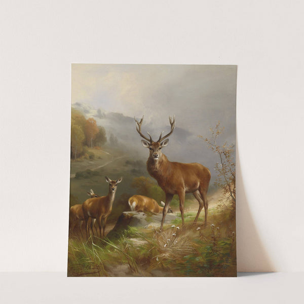 Rotwild by Anton Schmitz