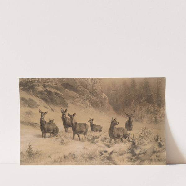 Rotwild im Winter by Franz Xaver von Pausinger