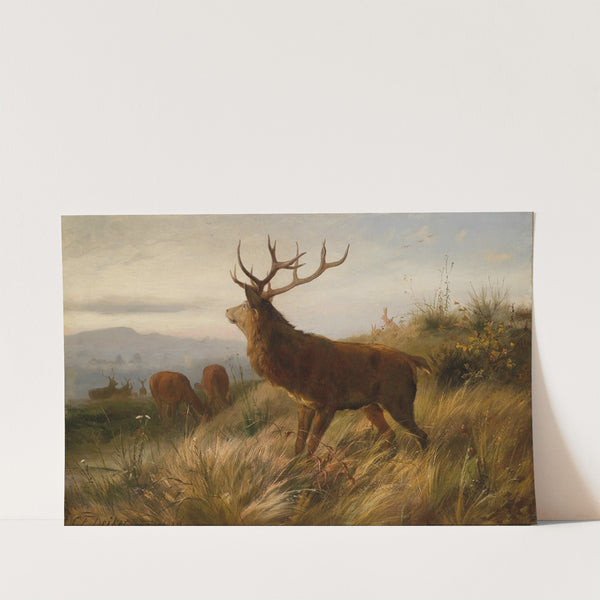 Rotwildrudel by Carl Friedrich Deiker