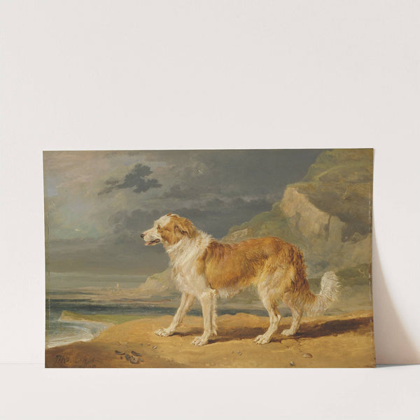 Rough-Coated Collie (1809) by James Ward