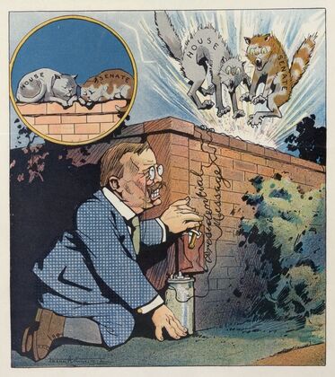 Rough on cats (1908)