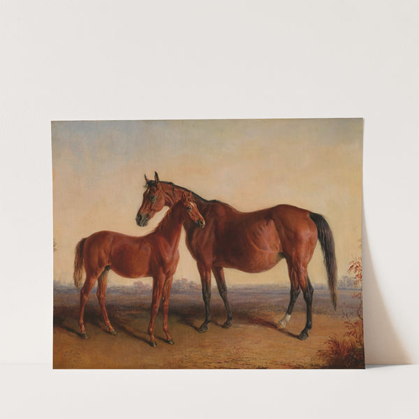 Roxanna and Her Colt Blarney Stone by Rhynodyne (1866) by Edward Troye