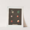 Royal Dauphin, Wine sour, Prune, Myrabolan and Carnation plums. (1812) by George Brookshaw