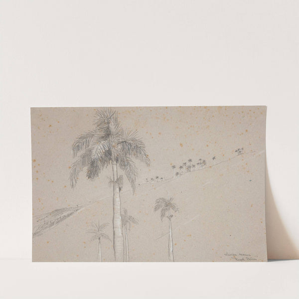 Royal Palm, Cuba by Winslow Homer