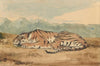 Royal Tiger (1800-1863)