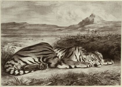 Royal Tiger (1829)
