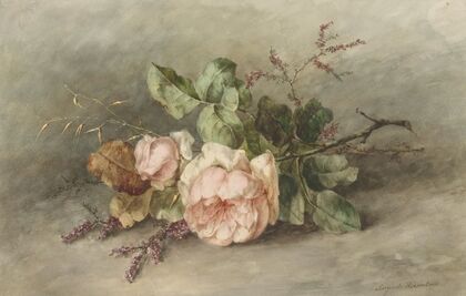 Rozen (1853 - 1896)