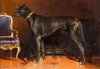 Rüde Shadow, Hund von Kaiserin Elisabeth (1873)