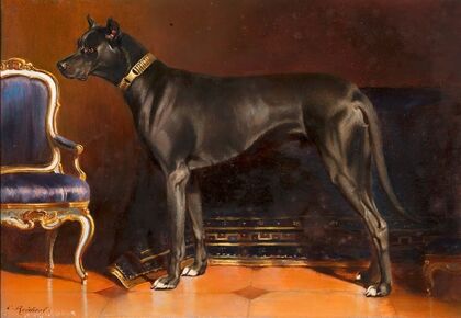 Rüde Shadow, Hund von Kaiserin Elisabeth (1873)
