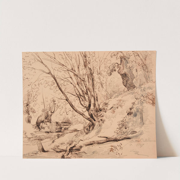 Ruisseau et bois à Civita Castellana by Jacques-Raymond Brascassat