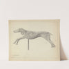 Running Dog Weather Vane by Gordon Sanborn