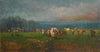 Rural Landscape