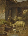 Rural Scene