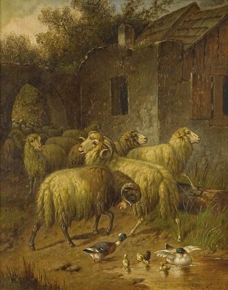 Rural Scene