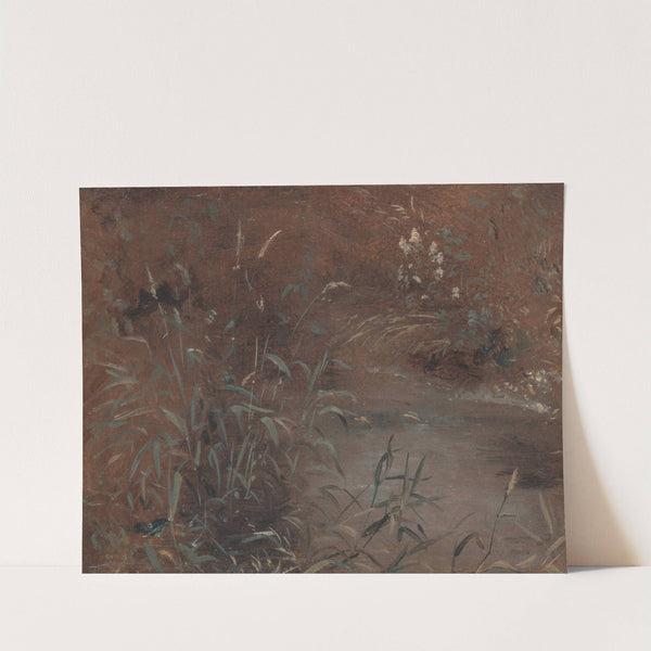 Rushes by a pool by John Constable