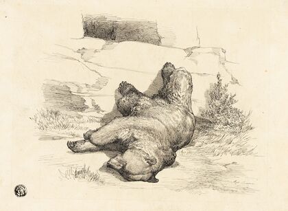 Russian Bear