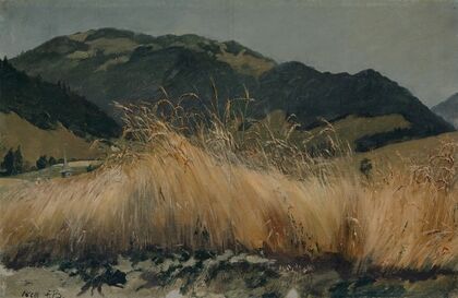 Rye field in the Jura