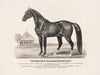 Rysdyk’s Hambletonian (1871)