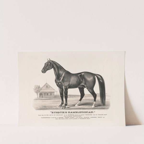 Rysdyk’s Hambletonian (1871) by John Cameron