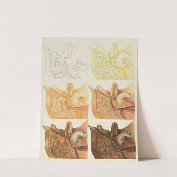 Saddle (Technique Demonstration) (1935-1942) by Gerald Transpota