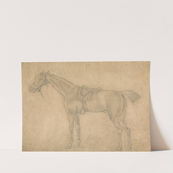 Saddled Horse Facing Left by James Seymour