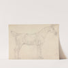 Saddled Horse, Facing Right by Sawrey Gilpin
