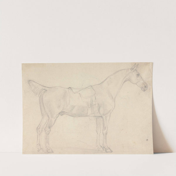 Saddled Horse, Facing Right by Sawrey Gilpin