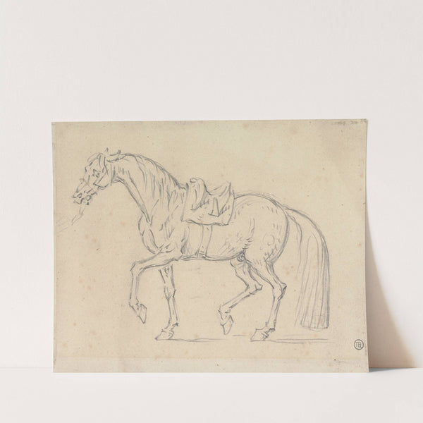 Saddled Horse, Walking to Left by James Seymour