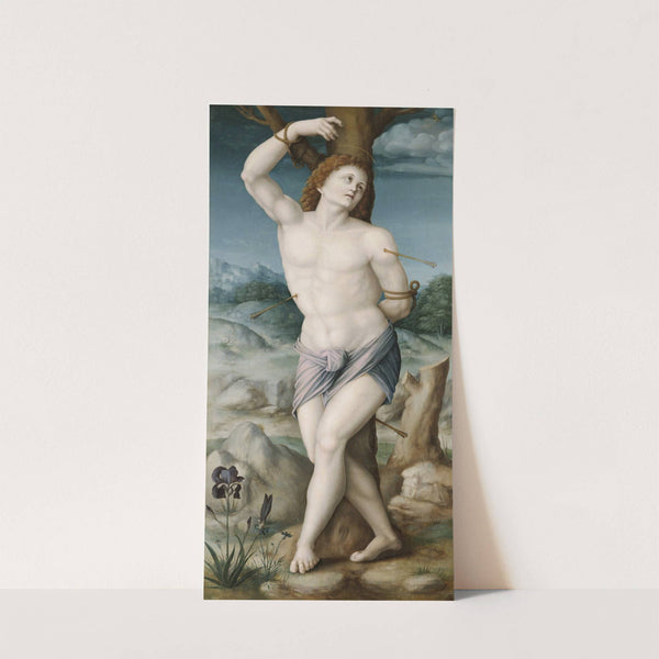 Saint Sebastian by Bacchiacca