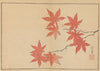 Sakai Hōitsu gajō, Pl.05 (1800-1912)