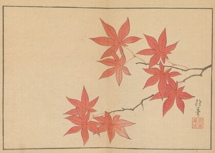 Sakai Hōitsu gajō, Pl.05 (1800-1912)